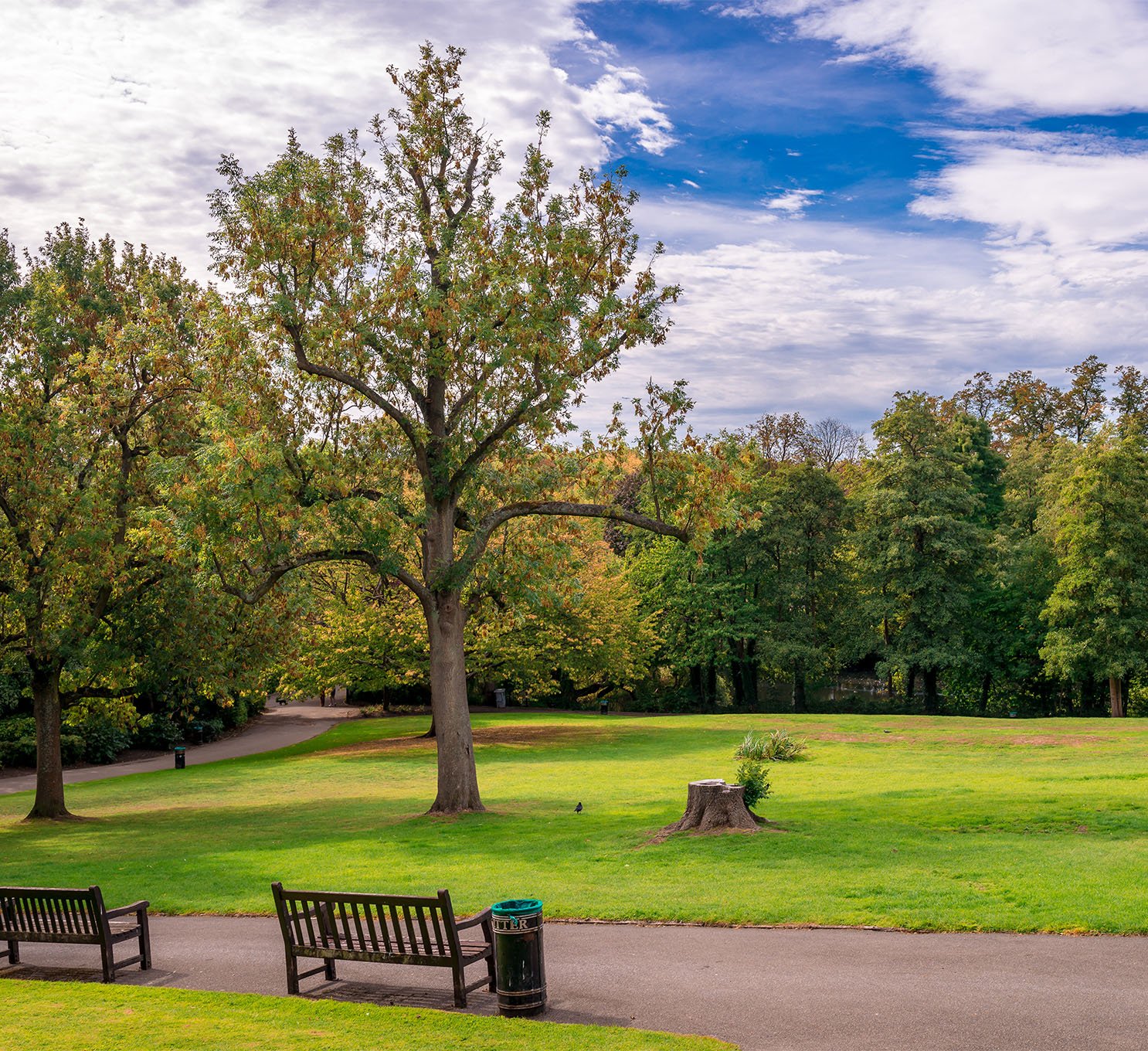 William Beckett Funeral Directors